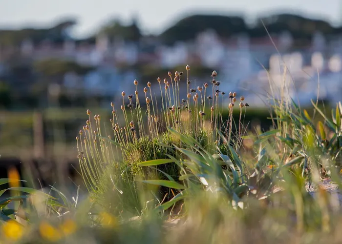 Meadow View Retreat Casa de Férias Albufeira