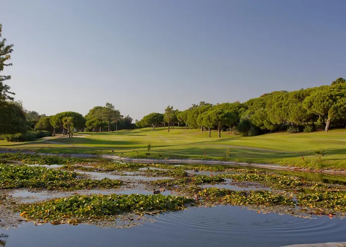 Meadow View Retreat Casa de Férias *