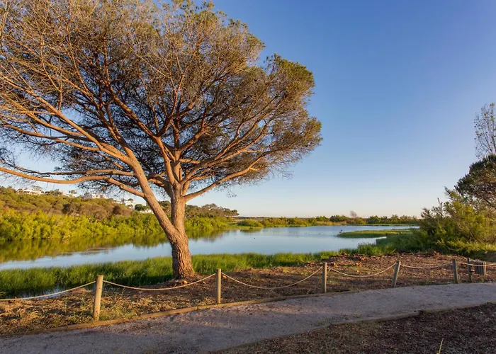 Casa de Férias Meadow View Retreat