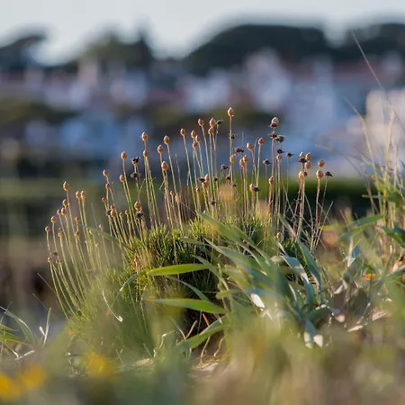 Meadow View Retreat Holiday home Albufeira