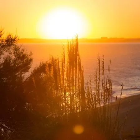 Meadow View Retreat *